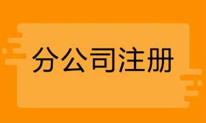 注冊分公司需要什么手續(xù)有哪些流程