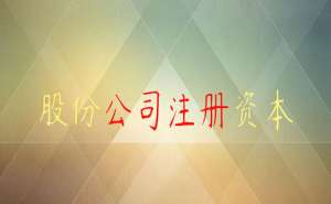 企業(yè)股份公司注冊(cè)資本金什么意思限額多少