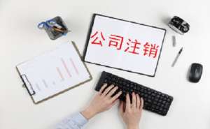 哪些企業(yè)類型可以申請(qǐng)簡(jiǎn)易注銷需要提交哪些材料